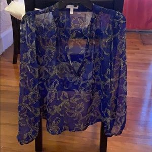 Sheer long sleeve blouse